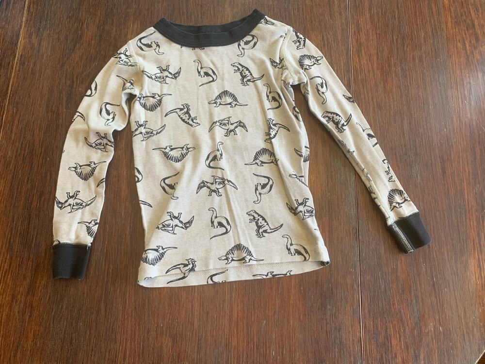 Hanna Andersson Dinosaur Top
